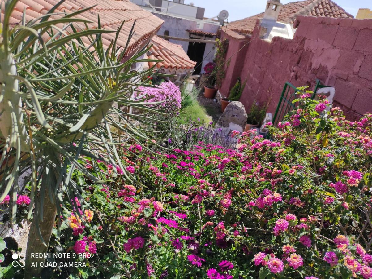 I Miti Viviendavacacional Otel Chío Dış mekan fotoğraf